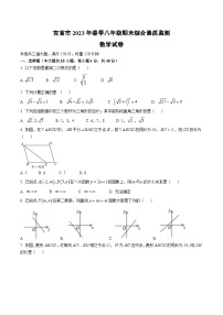 湖南省湘西州吉首市2022-2023学年八年级下学期期末综合素质监测数学试卷(含答案)