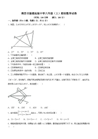 江苏省南京市鼓楼实验中学2023-2024学年八年级上学期期初练习数学试题(无答案)