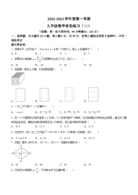 广东省茂名市高州市部分学校2023-2024学年九年级上学期月考数学试题