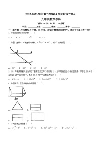 福建省福州第十八中学2022-2023学年九年级下学期期中数学试题(无答案)