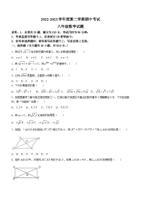 广东省东莞市2022-2023学年八年级下学期期中数学试题