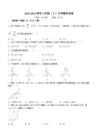 河南省郑州市高新区创启学校2023-2024学年八年级上学期开学考试数学试题