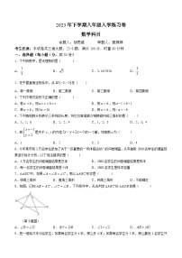 湖南省长沙市雨花区中雅培粹学校2023-2024学年八年级上学期开学考试数学试题(无答案)