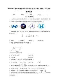 河南省信阳市平桥区羊山中学2023-2024学年上学期八年级开学数学试卷+