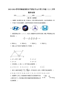 河南省信阳市平桥区羊山中学2023-2024学年上学期八年级开学数学试卷（含答案）