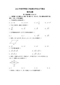 四川省广元市苍溪县2022-2023学年八年级下学期期末学业水平测试数学试卷(含答案)