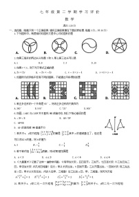 河南省周口市淮阳区大连乡2022-2023学年七年级下学期6月期末数学试题