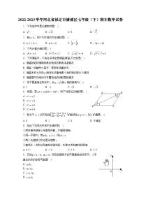 2022-2023学年河北省保定市满城区七年级（下）期末数学试卷（含答案解析）