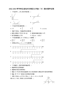 2022-2023学年河北省沧州市青县七年级（下）期末数学试卷（含答案解析）