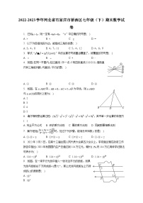 2022-2023学年河北省石家庄市桥西区七年级（下）期末数学试卷（含答案解析）