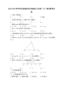 2022-2023学年河北省秦皇岛市海港区七年级（下）期末数学试卷（含答案解析）