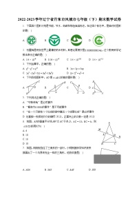 2022-2023学年辽宁省丹东市凤城市七年级（下）期末数学试卷（含答案解析）