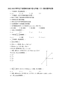 2022-2023学年辽宁省铁岭市西丰县七年级（下）期末数学试卷（含答案解析）