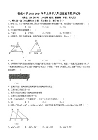 福建省莆田市砺成中学2023-2024学年八年级上学期开学考试数学试题(无答案)