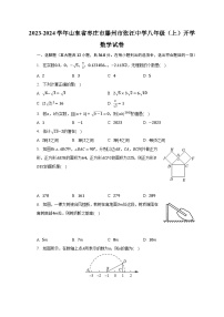 2023-2024学年山东省枣庄市滕州市张汪中学八年级（上）开学数学试卷（含解析）