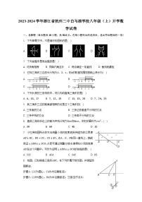 2023-2024学年浙江省杭州二中白马湖学校八年级（上）开学数学试卷（含解析）