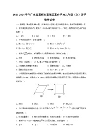 2023-2024学年广东省惠州市惠城区惠台学校九年级（上）开学数学试卷（含解析）