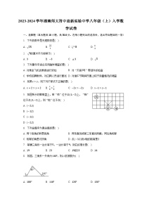 2023-2024学年湖南师大附中高新实验中学八年级（上）入学数学试卷（含解析）