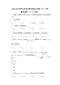 山西省吕梁市临县2022-2023学年七年级下学期5月月考（二）数学试卷(含解析)