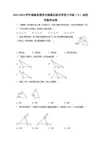 2023-2024学年福建省莆田市城厢区砺志学校八年级（上）返校考数学试卷（含解析）