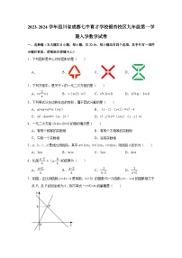 2023-2024学年四川省成都七中育才学校银杏校区九年级（上）入学数学试卷（含解析）