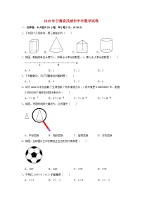 2019年甘肃省武威市中考数学试卷与答案