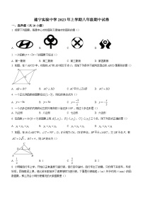 湖南省株洲市天元区建宁实验中学2022-2023学年八年级下学期期中数学试题（含答案）