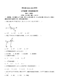 河北省衡水市景县部分学校2022-2023学年七年级下学期期中数学试题