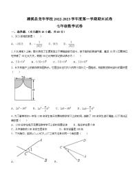 安徽省淮北市濉溪县龙华学校2022-2023学年七年级上学期期末数学试题(无答案)