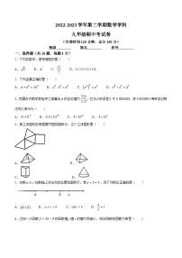 福建省福州现代中学2022-2023学年九年级下学期期中数学试题(无答案)