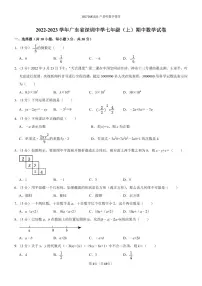 2022-2023学年广东省深圳中学七年级（上）期中数学试卷
