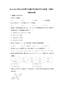 山东省枣庄市滕州市东郭中学2023-2024学年九年级上学期开学数学试卷