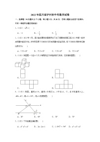 2022年四川省泸州市中考数学试卷+精细解析