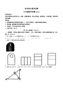 山东省枣庄市薛城区2022-2023学年九年级上学期期末数学试题(无答案)