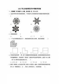 2023年山东省青岛市中考数学真题