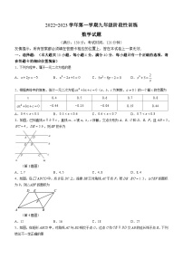 福建省宁德市霞浦县2022-2023学年九年级上学期期中数学试题