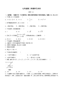 青海省海东市2022-2023学年七年级下学期第二次月考数学试题