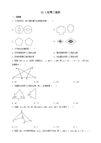 初中数学人教版八年级上册第十二章 全等三角形12.1 全等三角形精品课时作业