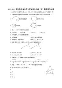 2022-2023学年陕西省宝鸡市渭滨区八年级（下）期中数学试卷（含解析）