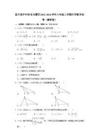 四川省泸州市龙马潭区2023-2024学年八年级上学期开学数学试卷 （含答案）