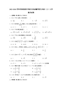 河南省新乡市封丘县金瀚学校2023-2024学年九年级上学期入学数学试卷（含答案）