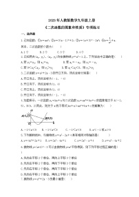 数学九年级上册22.1 二次函数的图象和性质综合与测试优秀课后复习题