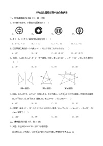 期中测试卷2023-2024学年人教版数学八年级上册