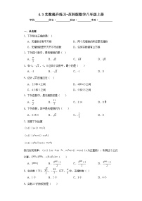 初中数学苏科版八年级上册4.3 实数一课一练