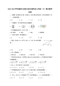 2022-2023学年黑龙江省哈尔滨市通河县七年级（下）期末数学试卷（含解析）