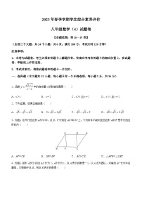 云南省昭通市昭阳区2022-2023学年八年级下学期5月月考数学试题