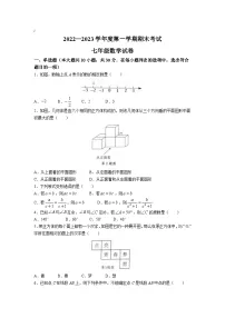 河南省商丘市夏邑县第七初级中学等5校2022-2023学年七年级上学期期末考试数学试卷(含答案)