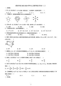 2023武汉外校九年级第一次月考数学试卷