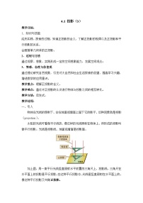 鲁教版 (五四制)九年级上册1 投影教案