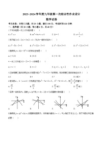 安徽省淮南市淮南西部地区2023-2024学年九年级上学期月考数学试题